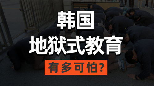 韩国普通人为何深陷内卷：从网红到就业市场的全面剖析