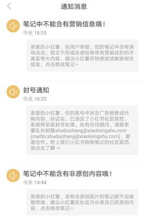 小红书封号风暴：社区净化与用户权益的平衡