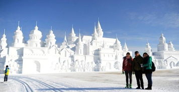 南方游客凌晨3点排队冰雪大世界：感受冰天雪地的魅力