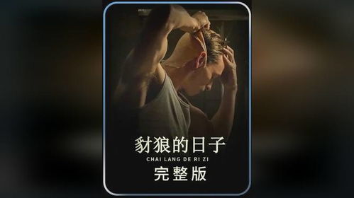 《豺狼的日子》：深度解读这部经典英剧的魅力与价值