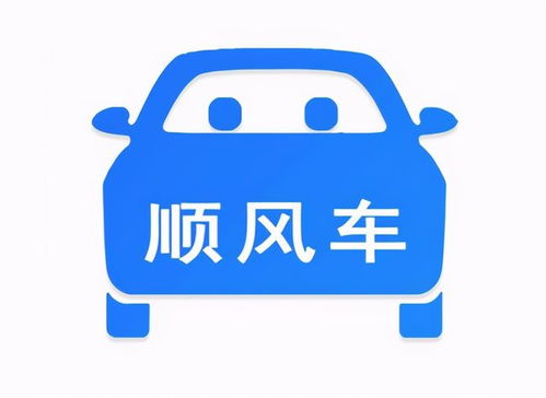 私家车注册“顺风车”频繁接单出事故，保险公司拒赔获法院支持