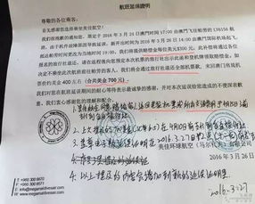 惊！三百多名游客到机场被告知没买机票：一场混乱背后的真相