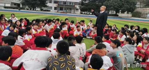 校园欺凌事件背后：贵阳一小学4名学生欺凌1同学的深度剖析