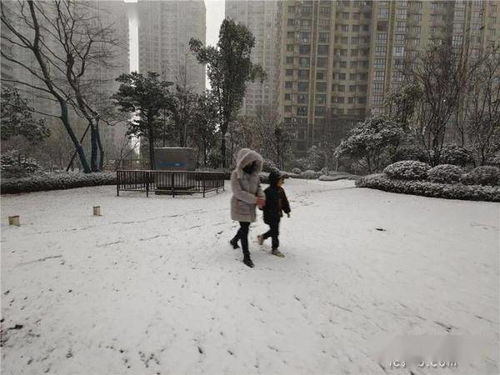 长沙真的下雪了：一场短暂却难忘的冬日奇遇