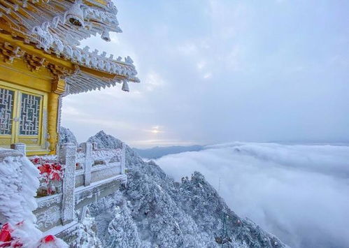 当我亲眼看到下雪的老君山