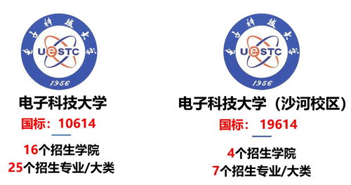 从电子科技大学停用飞书看高校软件选择的风向标