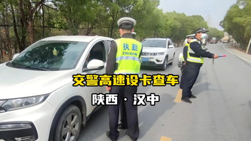 高速超速风波落幕：当事人的亲身经历与反思