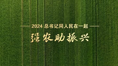 2024，与人民同行：创新引领未来