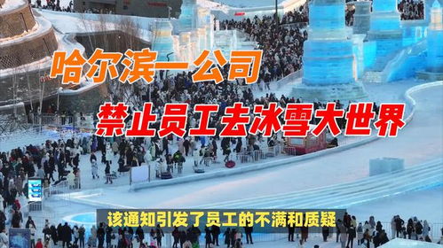 从禁止到道歉：我亲历的腾讯员工冰雪大世界之旅