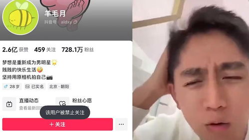 百万粉丝网红“羊毛月”账号被禁止关注：背后的故事