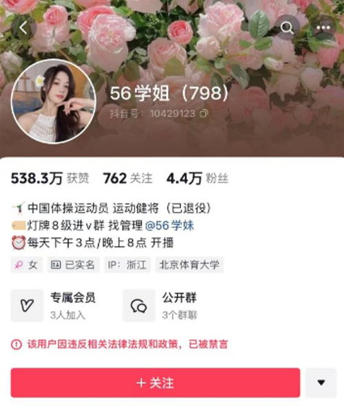 大海星辰MCN机构被处置：背后的故事与启示