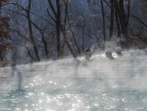 冰雪微笑曲线：我的冰雪奇缘之旅