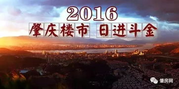 广东肇庆崛起120亿超级独角兽：解密年入28.92亿的全球巨头