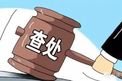 聚焦热点：人大代表资格终止事件的深度解析