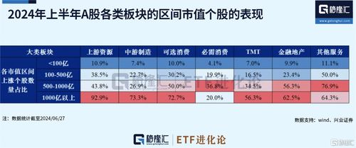 2024年新势力市场大盘点：见证创新与变革