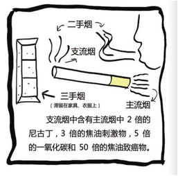 为什么说二手烟比一手烟更毒？这是我亲身经历后才明白的道理