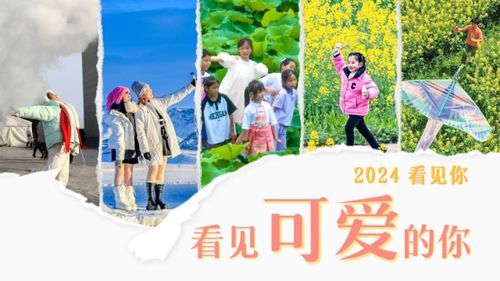 2024看见可爱的你：那些温暖人心的瞬间