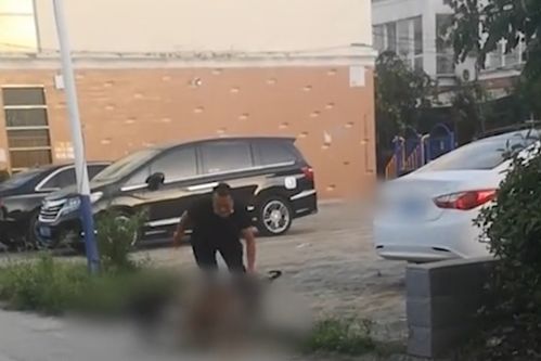 一场悲剧的警示：主人没牵住狗绳致路人车祸身亡