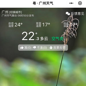 一条plog告别2024：那些难忘的瞬间与成长