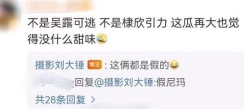 刘大锤曝赵露思事件真相：背后的故事与思考