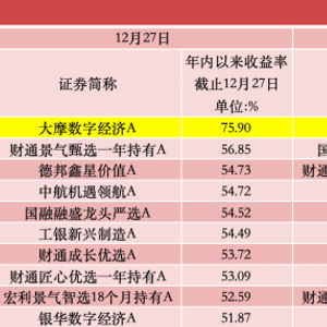 年内涨超75%，公募年度“冠军基”已基本锁定：我的投资心路历程