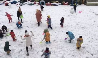 雪地里撒欢：与冬日的亲密邂逅