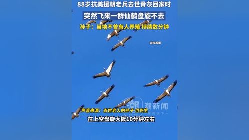 88岁抗美援朝老兵离世，天空中仙鹤盘旋不去的感人瞬间