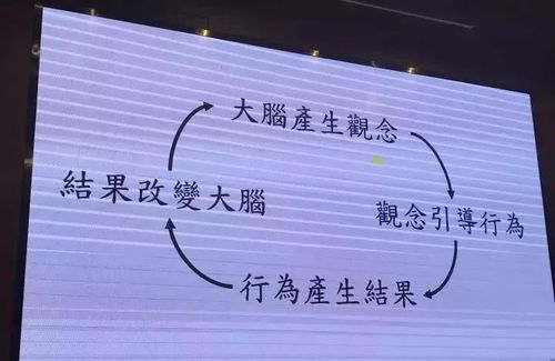 为什么没有著名的脑科学家研究AI？——一个探索者的思考