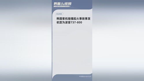 亲历者讲述：韩国波音737事件背后的真相