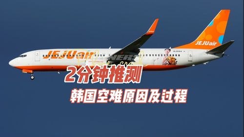 试图海上迫降但坠毁地面？2分钟推测韩国空难原因及过程