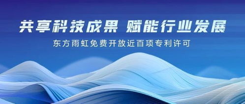 我的2024年度关键词：蜕变与成长