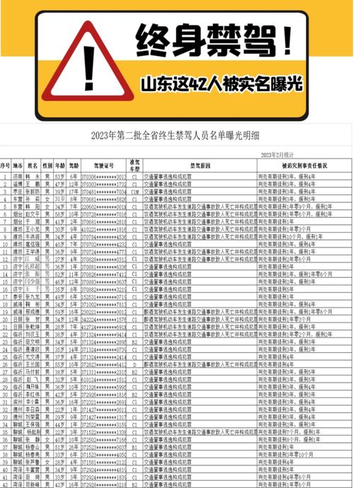 跨年夜烟花背后的警示：李某事件引发的深思