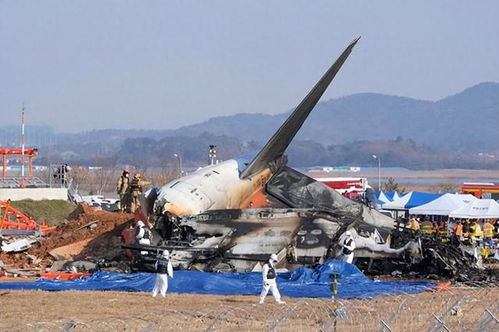 亲历者讲述：韩国济州航空失事客机残骸调查中的惊魂一刻