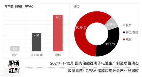 职场红利年终盘点⑧：双碳2024下的个人职场抉择