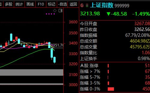 A股市场风云变幻：个人投资者的视角与思考