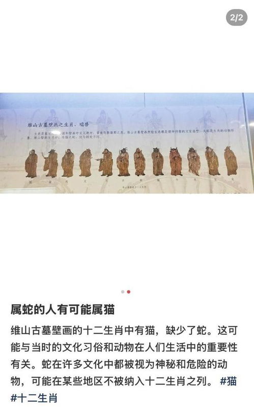 探秘古代壁画“十二生肖图”：有猫无蛇的奇闻