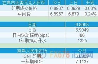 新年购汇与投机盘躁动：人民币汇率的未来走向