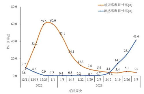 亲身经历：当全国流感病毒阳性率快速上升时