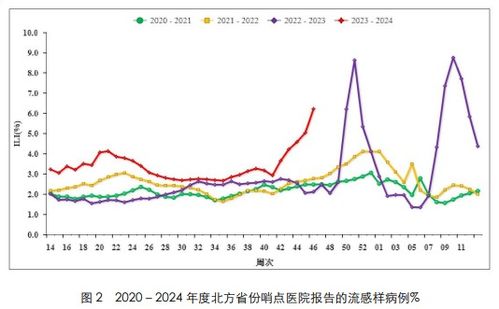 亲身经历：与流感病毒的抗争