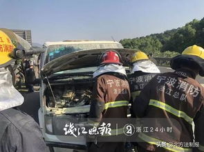 男子编造捡18万现金交警方被行拘：真相背后的警示