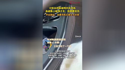 高速公路上的惊魂一刻：19岁女孩被司机拽下车？真相令人深思