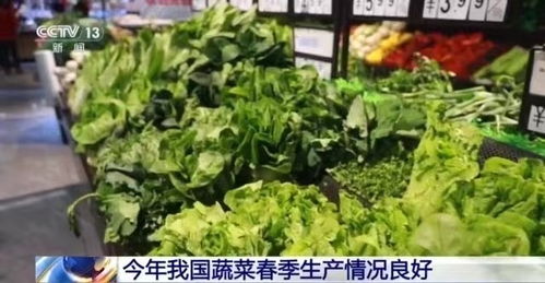 见证“菜篮子”的坚实保障：全国蔬菜生产持续向好