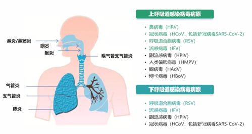 儿童呼吸道感染特点及家长注意事项：专家建议