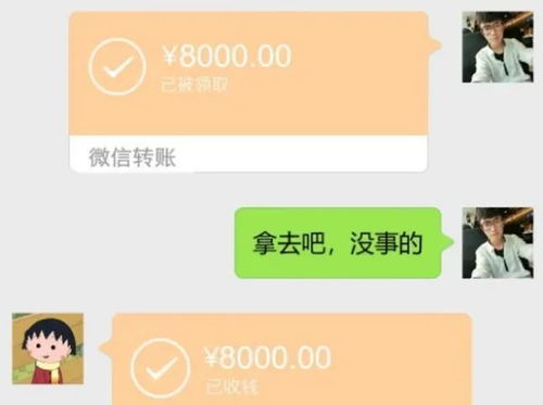 男子给女友转账100万分手后起诉对方：爱情与金钱的纠葛