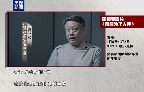 深度解读：年度反腐大片中的警示与反思