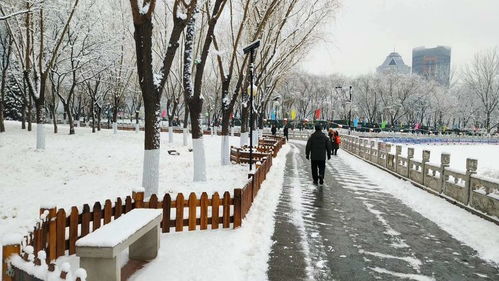 2025北京第一场雪：一场与冰雪的浪漫邂逅