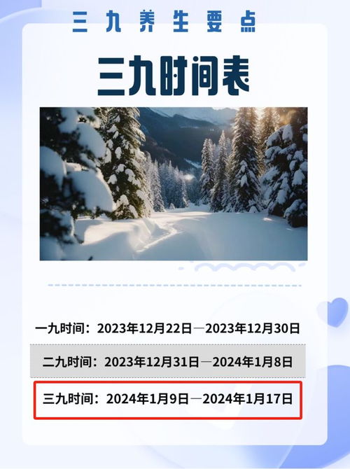 今日进入三九天：我眼中的寒冬与温暖