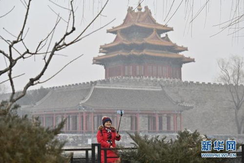 北京迎降雪：亲历一场银装素裹的浪漫