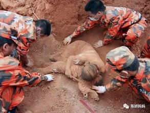 西藏地震期间AI图传播事件引发深思