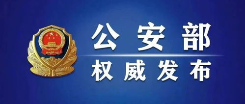 亲历者说：2024年全国刑事案件同比下降25.7%，我见证的社会变迁